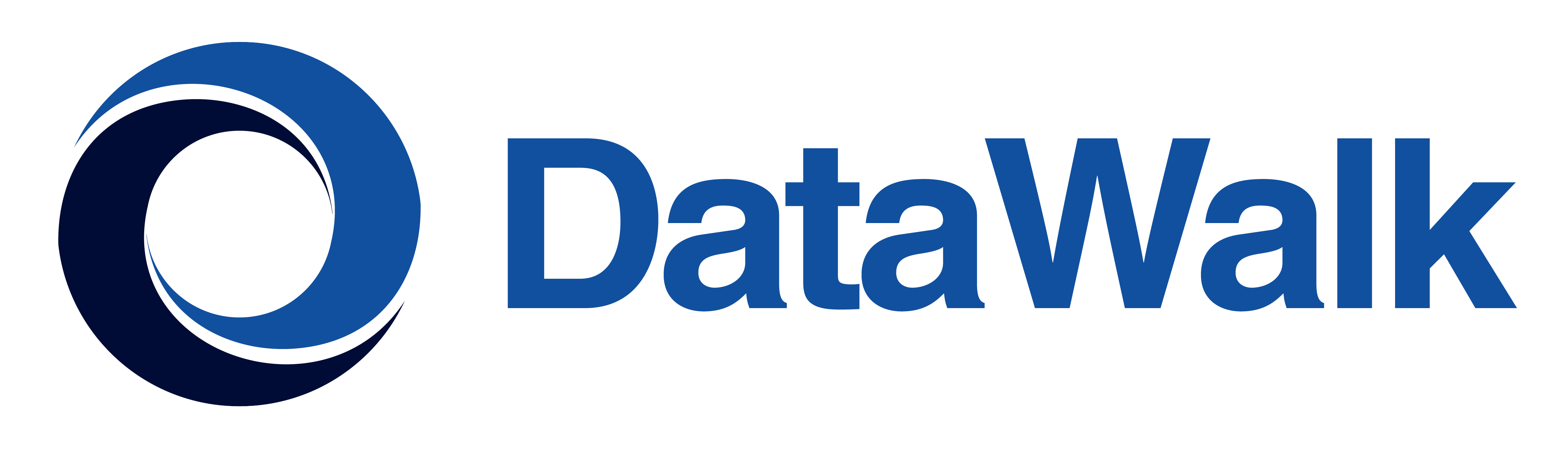 DataWalk Graph AI Platform