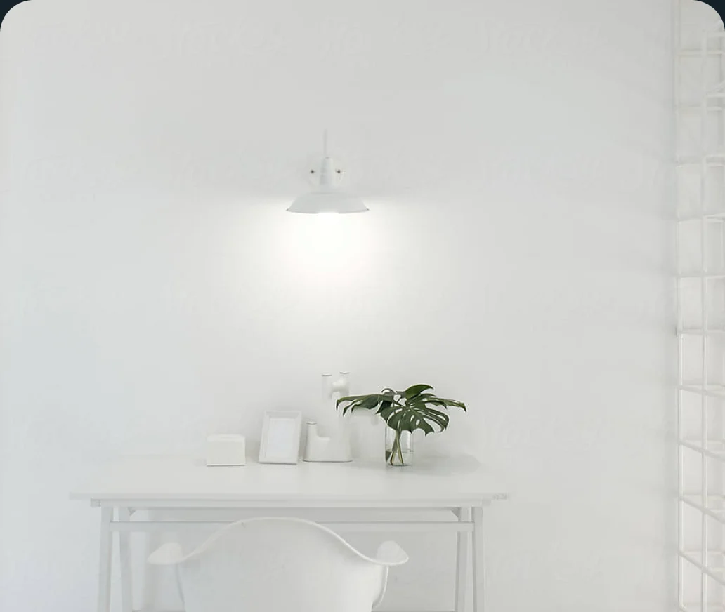 An almost empty white table styled with a single plant under a wall lamp