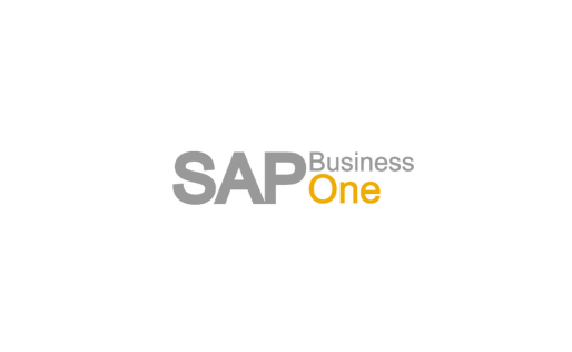 SAP Business One DI
