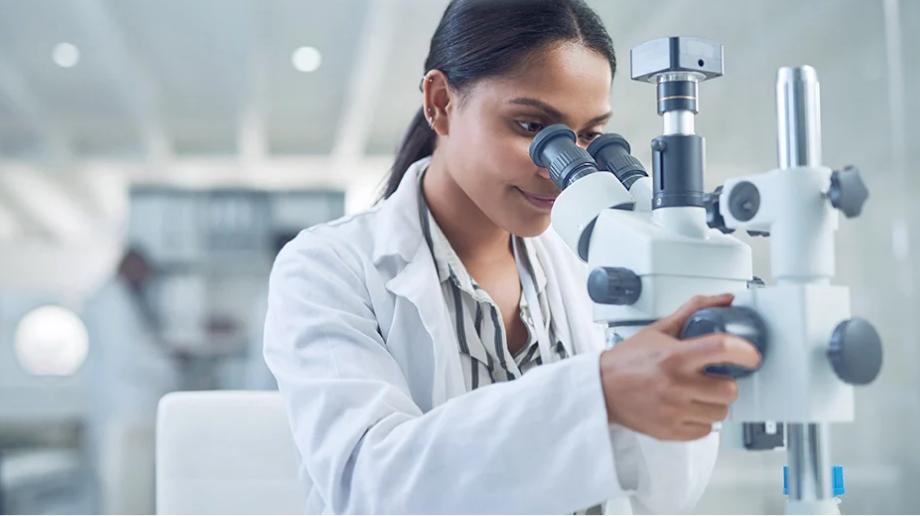 Building the Knowledge Foundation: An Inside Look at Boehringer Ingelheim’s Architecture