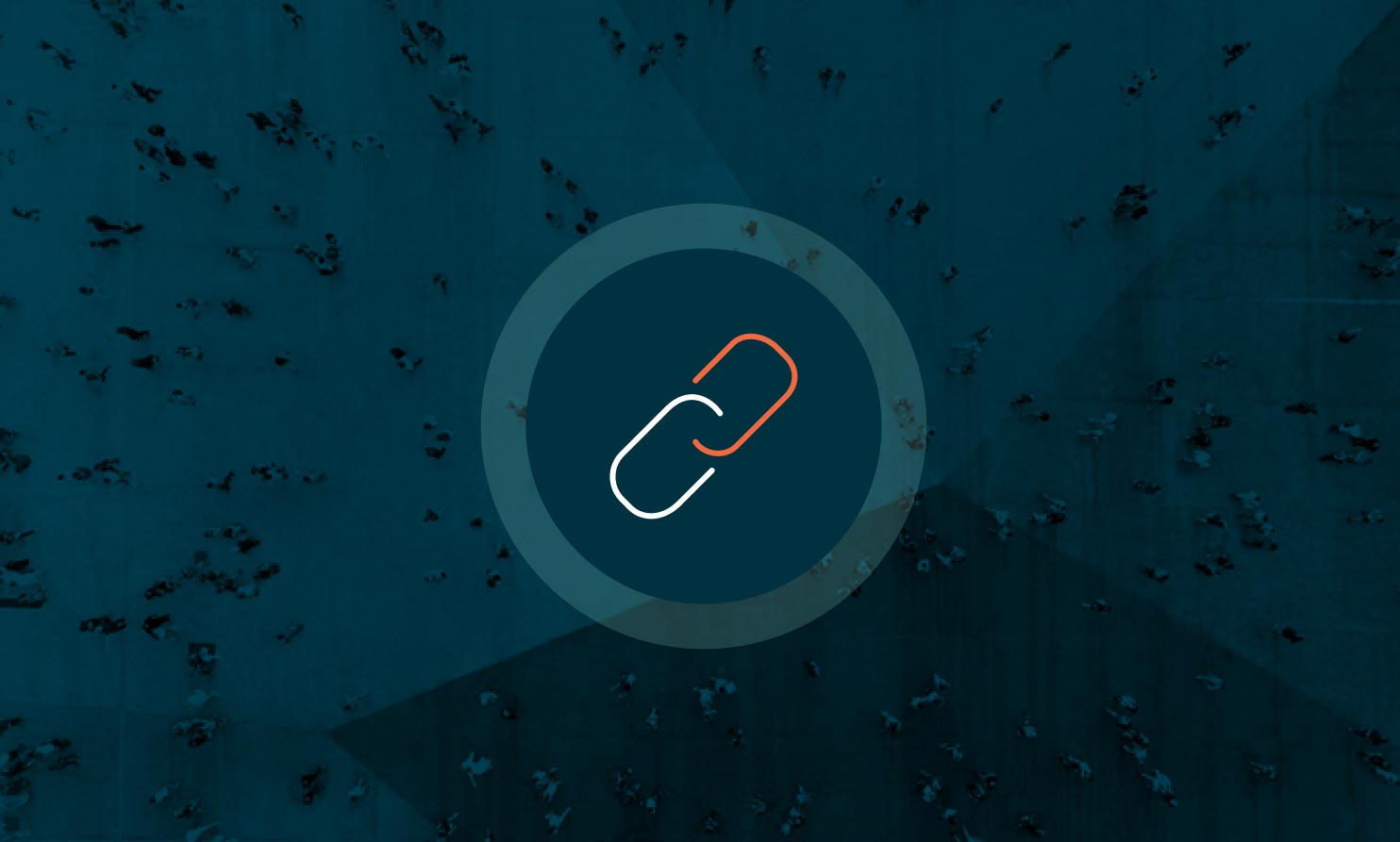 Entity Extraction & Linking