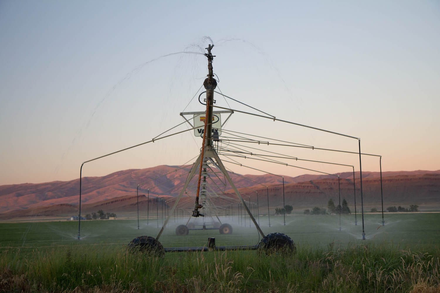 Courtesy of Frozenatom