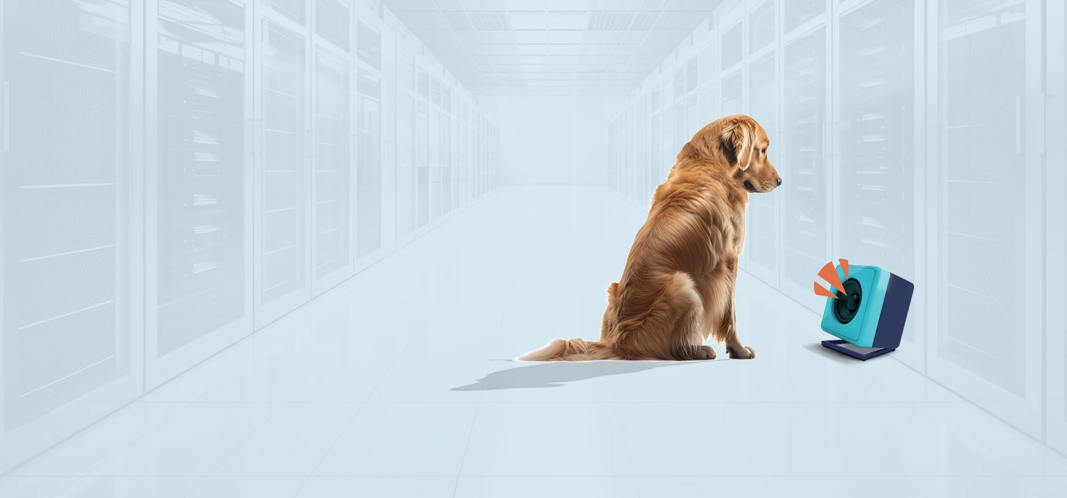 Technical Deep Dive